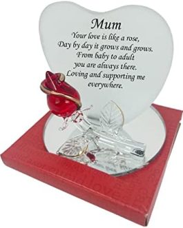 OnlineStreet Mum Gift Glass Plaque Ideas for Mummy Mom Mother Birthday Anniversary Mothers day Christmas Xmas Presents