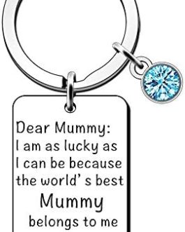 JETTOP Best Mummy Gifts- Mothers Day Gifts Keyring Mum Birthday Gifts from Son Daughter Mum Christmas Present (Best Mum Belongs to me)
