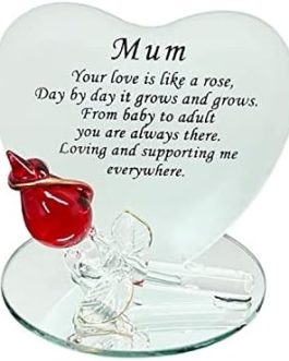 OnlineStreet Mum Gift Glass Plaque Ideas for Mummy Mom Mother Birthday Anniversary Mothers day Christmas Xmas Presents
